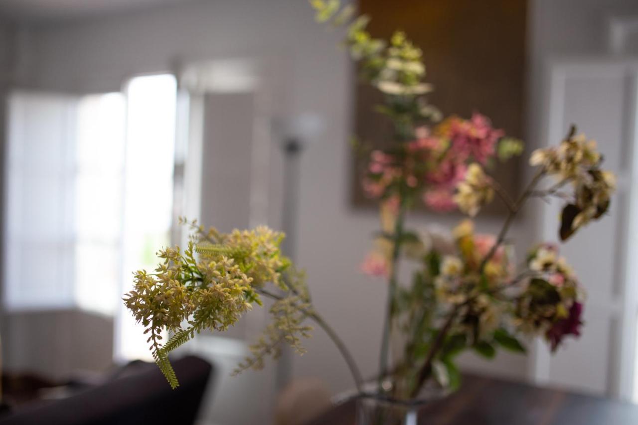 Apartment Seville Mirador Puerta Carmona Luaran gambar
